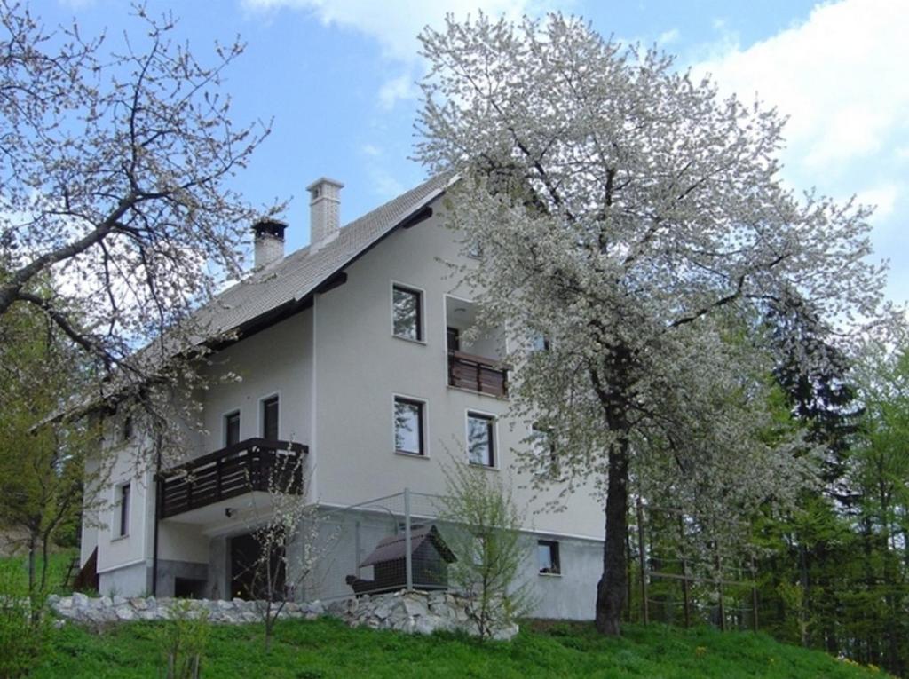 Apartments Pri Marjetki Cerkno Extérieur photo